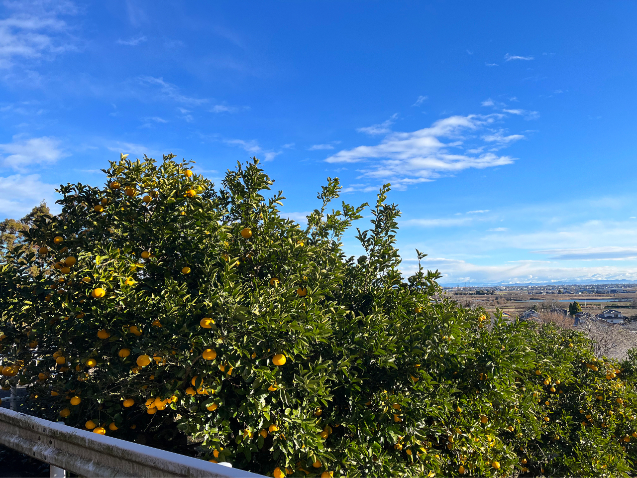 �{�V�R���̂ӂ��ƁA���É�����]�ł��郍�P�[�V�����ł͂������������y���݂��������܂��I