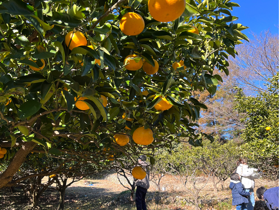 �͂��������̗l�q�􉀓����U�􂵂Ȃ��瑶���ɂ��y���݂��������O�O