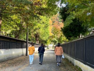 横手を地元案内人とともに歩いてみませんか。初級編は1時間ほどのコースに散策後のお茶付きです☆