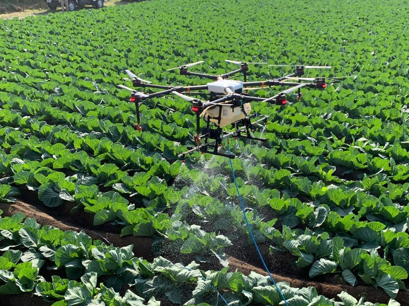 _ƁAzȂǂ̋ƊEvXڂh[Zp̌悤I