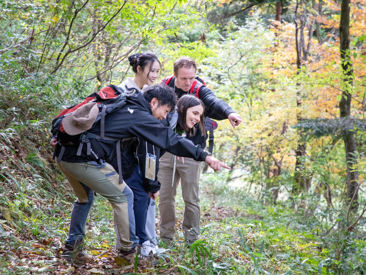 �n�₪���񂾒n�`��X�̏����ȕω���ǂ݉����Ȃ���n�C�L���O�B