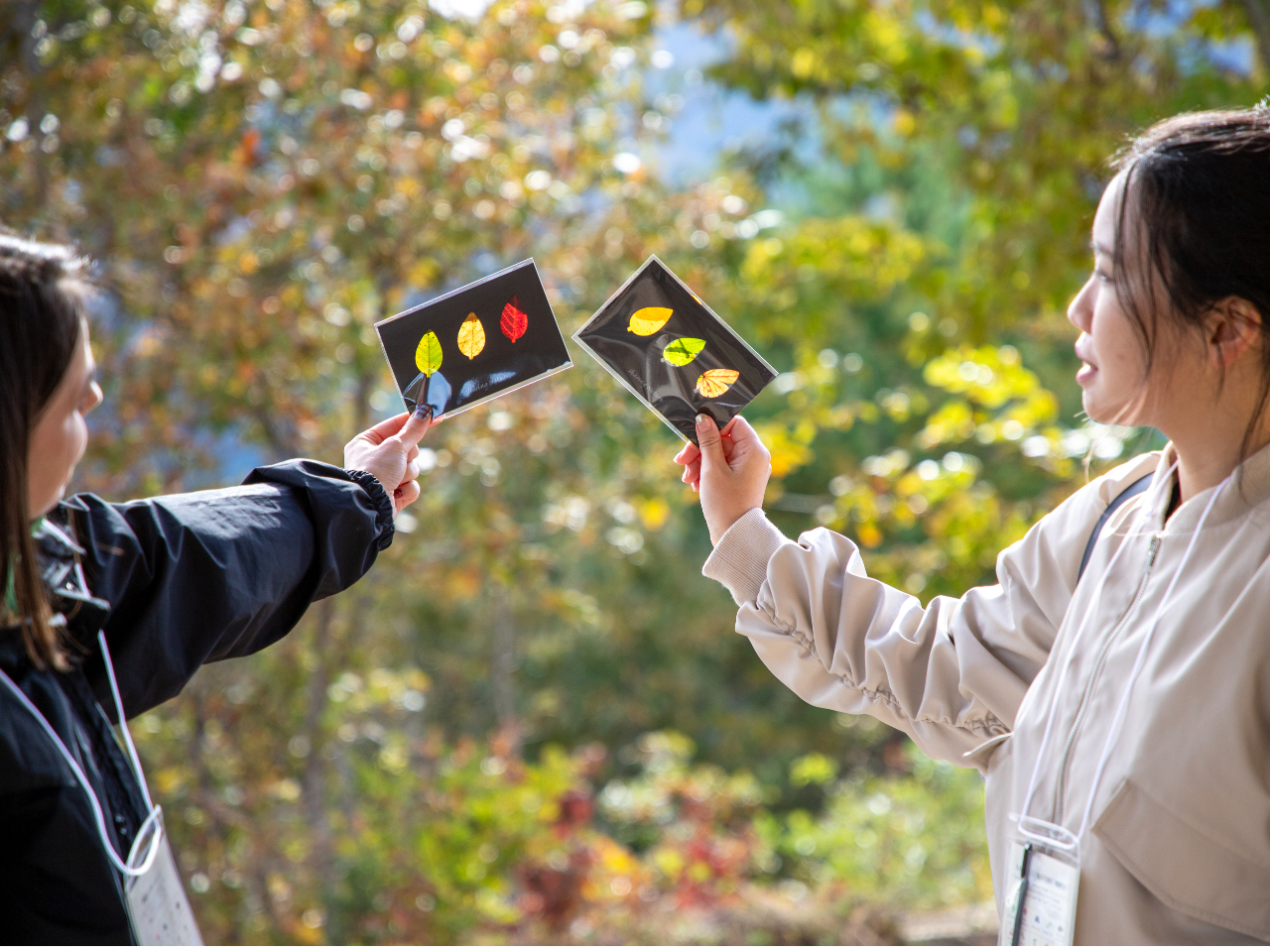 �R���Ŋ���������t�H���X�g�N���t�g�̌��B