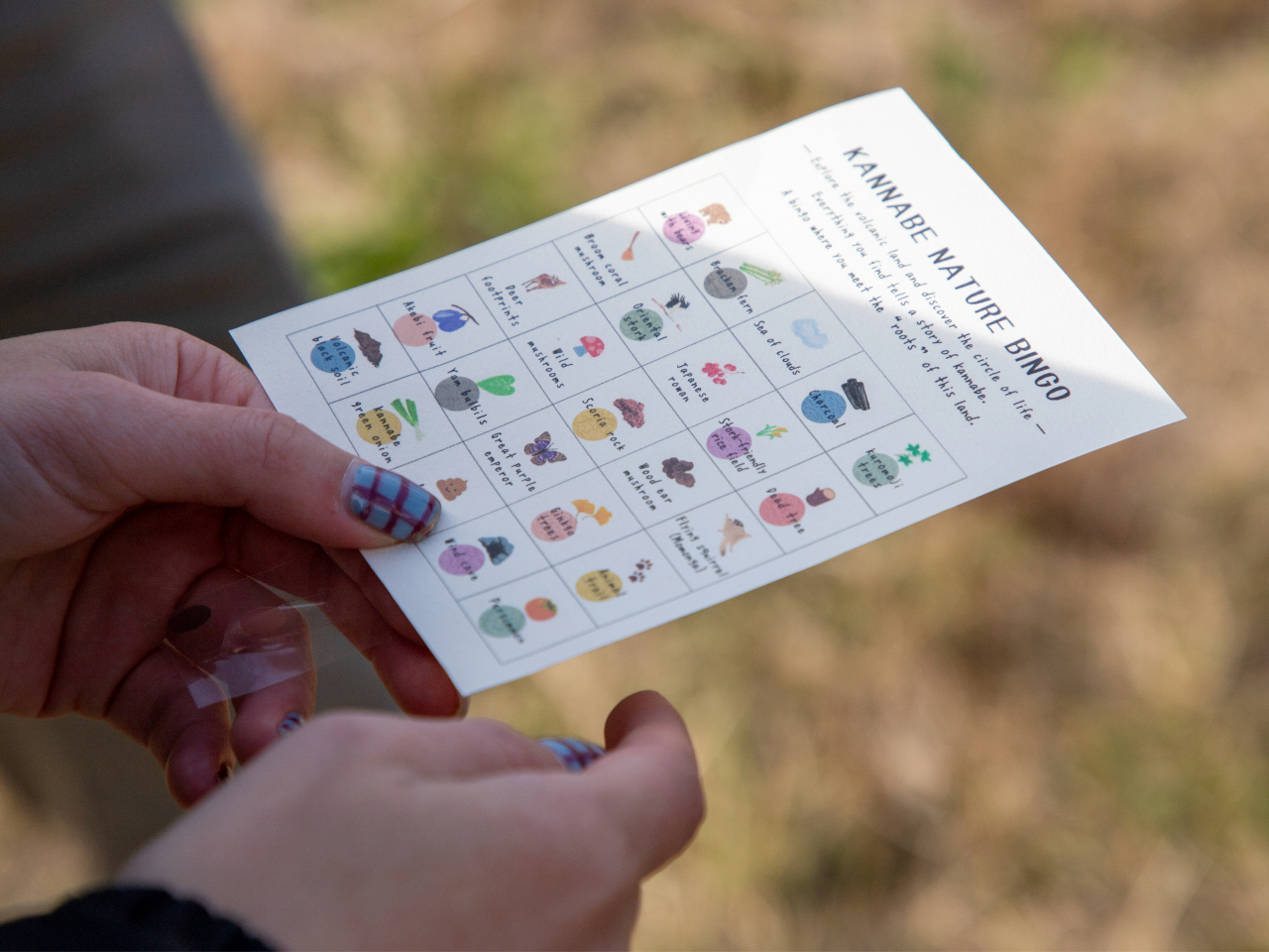 �_��l�C�`���[�r���S�B