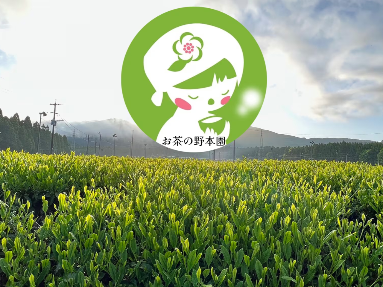 ▼季節によってお茶畑を前にお茶淹れ体験や茶摘み体験もご案内!
▼新茶の時期は、お茶とお料理教室も開催予定!※要問い合わせ※