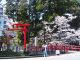 立木神社の桜と鳥居