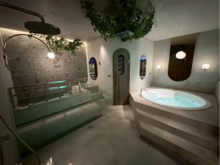 VIPルーム 天然温泉ジャグジー・水風呂・サウナ