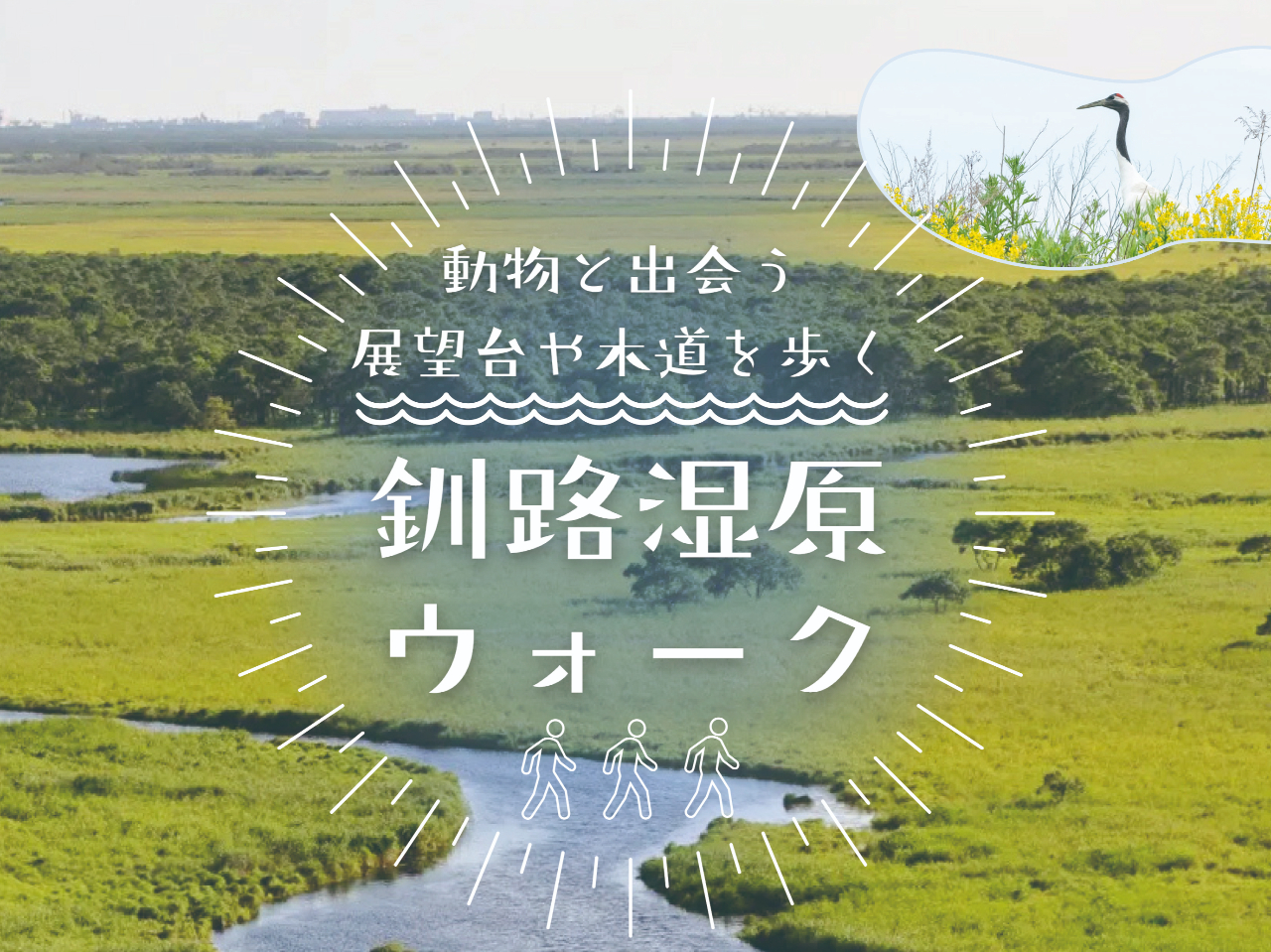 <釧路湿原を歩いて体感する>釧路湿原ウォーク【一人旅・カップル・ファミリー・グル...