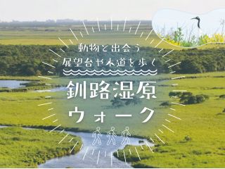 釧路湿原を歩いて体感しよう!