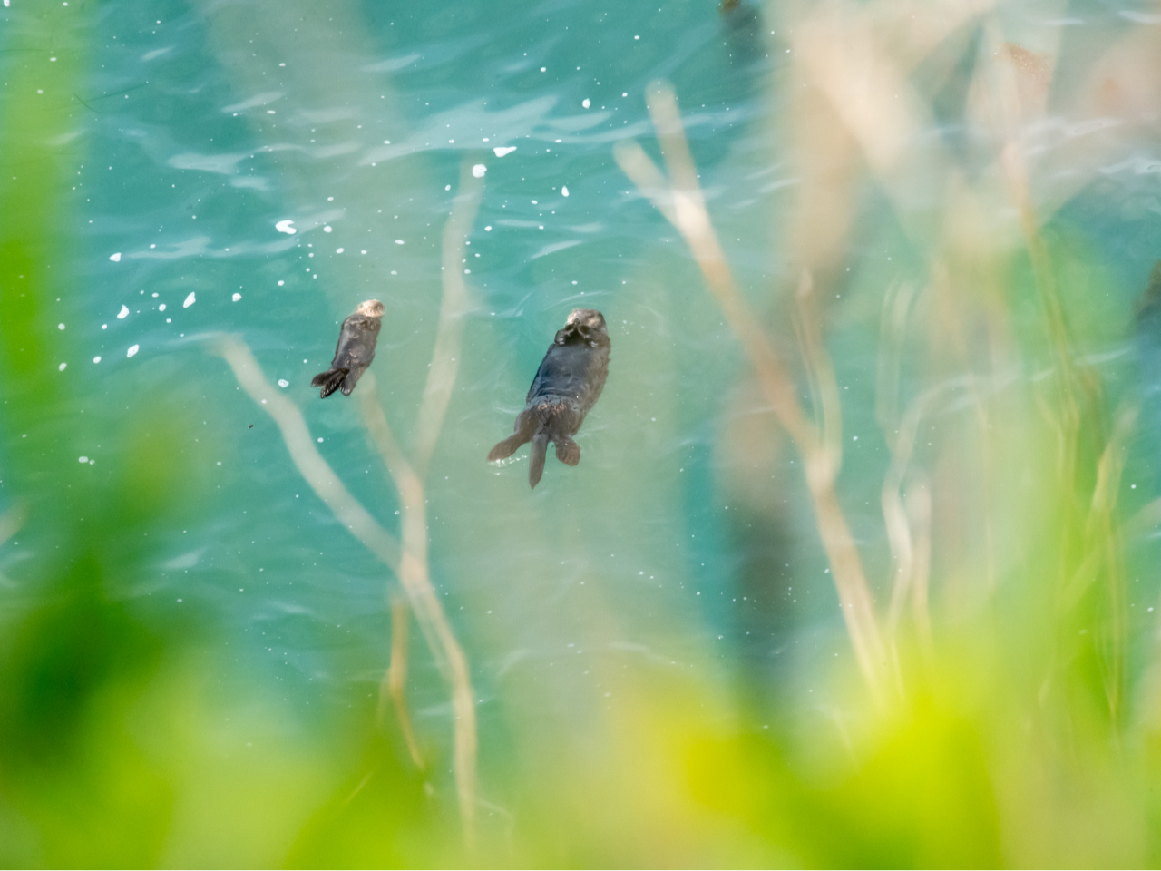 �e�q�Ńv�J�v�J��������