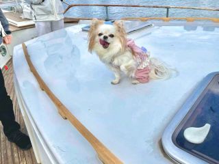 わんちゃんとのご利用も大歓迎!!特別な時間を大切なペットと一緒に共有しませんか?