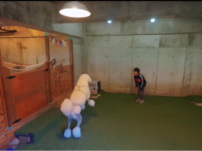 冷暖房完備の室内ドッグラン♪