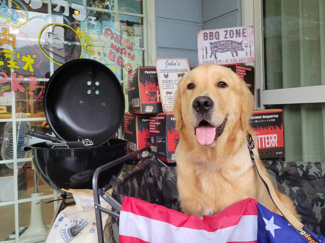 看板犬のエールくんもみなさんをお待ちしております!