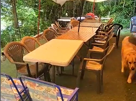 20名前後利用可能なBBQサイト!