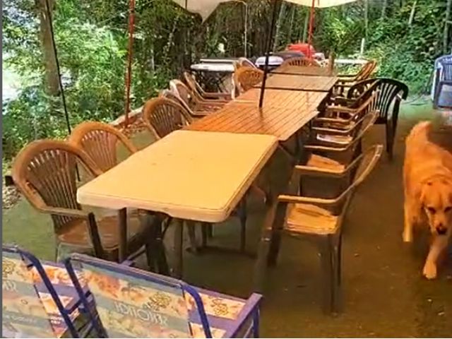 20名前後利用可能なBBQサイト!