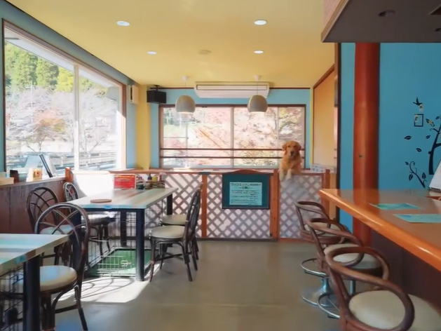 JtFXIɂ̓G[Vł鎺Vя܂I