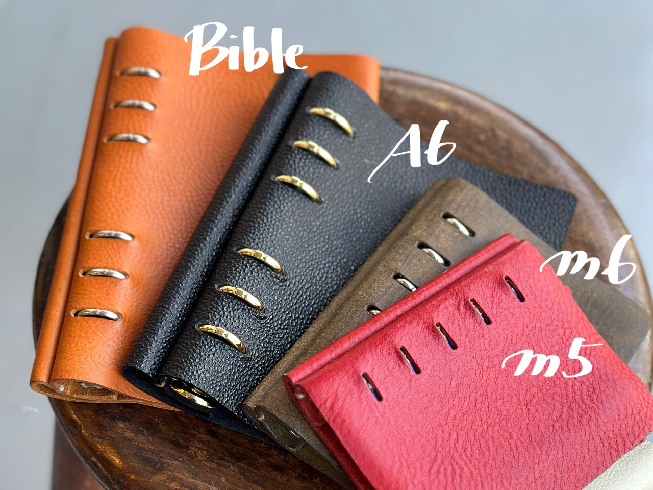 M5/M6/A6/BiblêSTCYIׂ܂