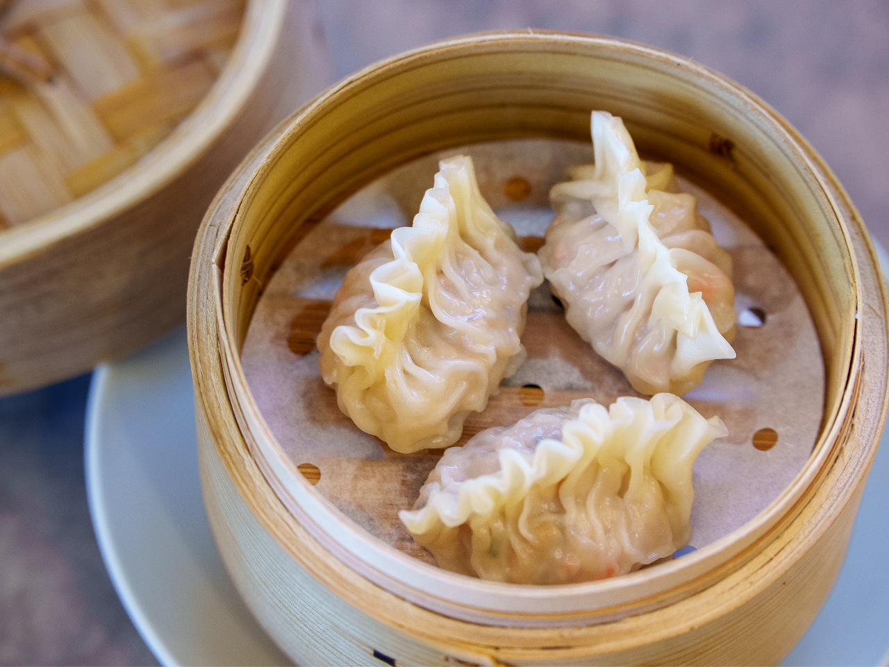 �t�J�q�������L�q