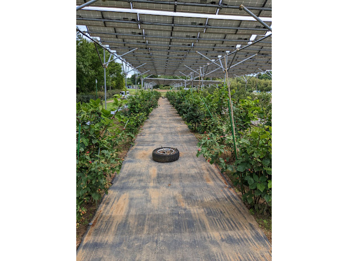 �J���I�ȃx���[���ł�����肨�߂������������I