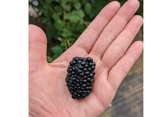 �Ƃ��Ă��嗱�̃u���b�N�x���[�ł��I