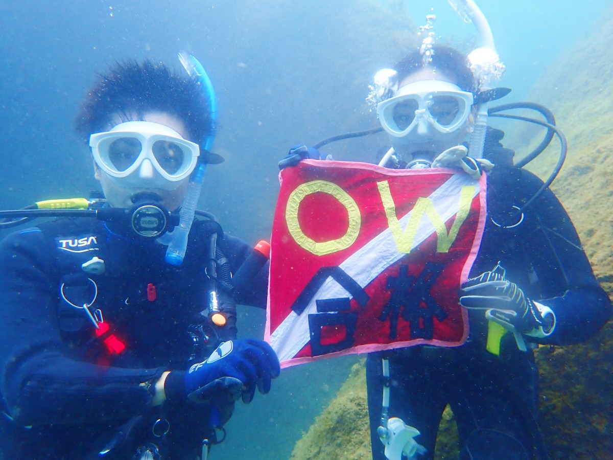 ɔFwćiPADIjɉKXLIOWDJ[h擾łI