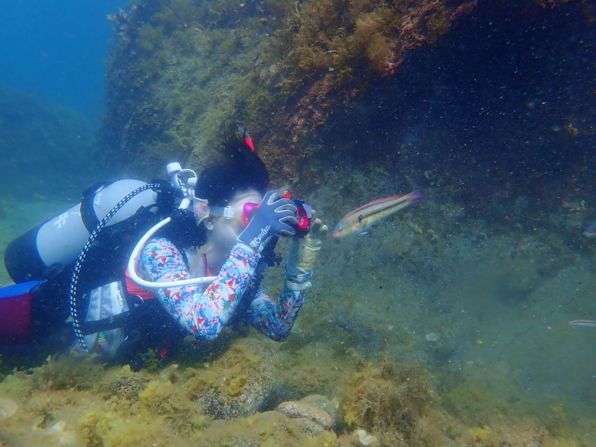 J݂邱Ƃ\Ȃ̂ŁAvôP𑝂₵ĂƑfGłˁI