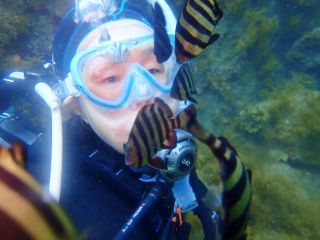 講習中でもサカナ達が遊びに来たら眺めて癒されましょう♪