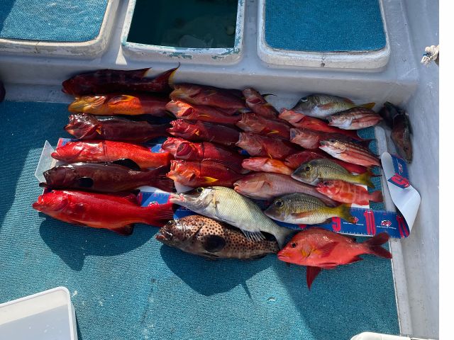 色んな魚がいっぱい釣れちゃうかも?