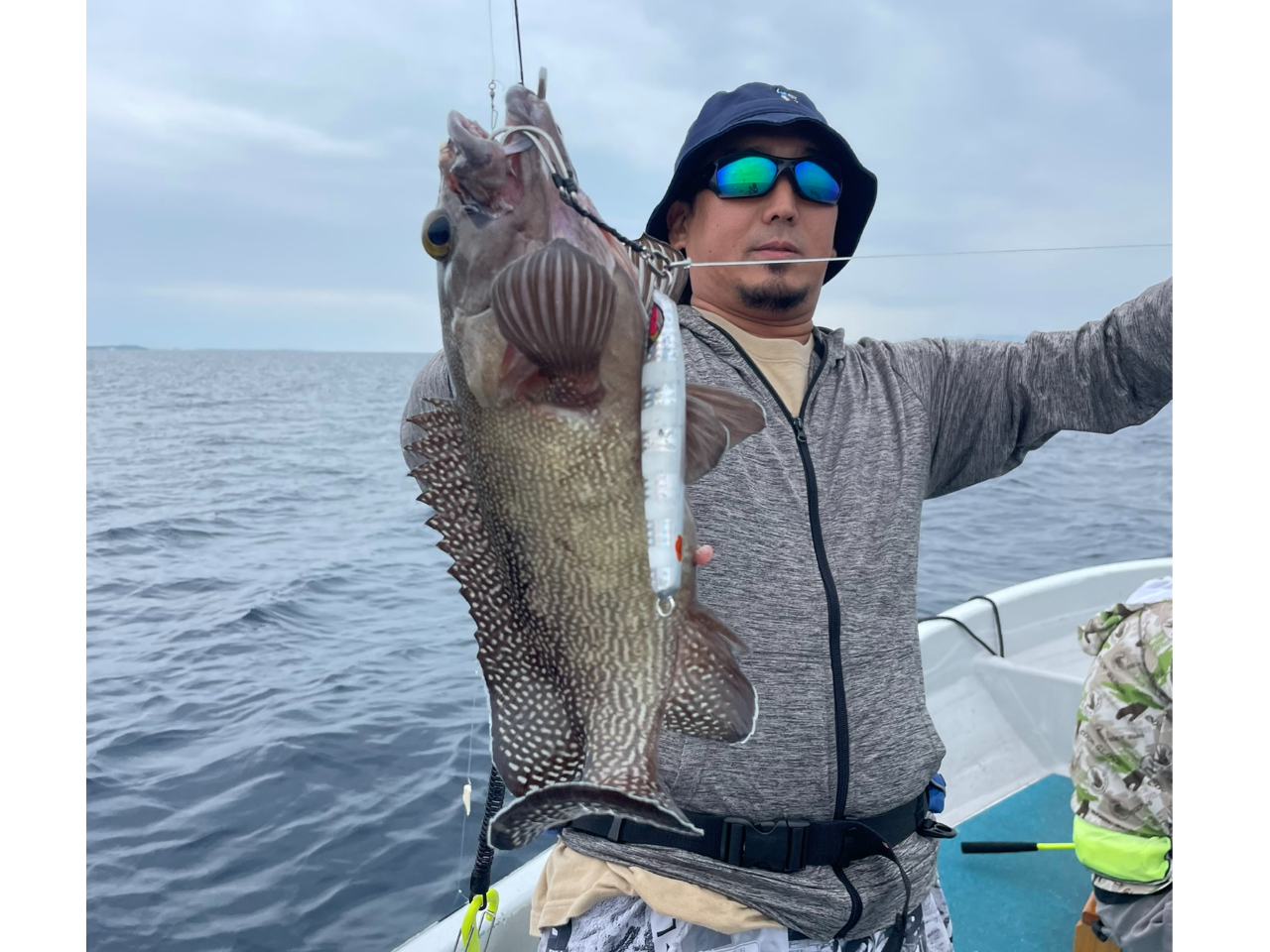 煮付けにすればめちゃウマ-