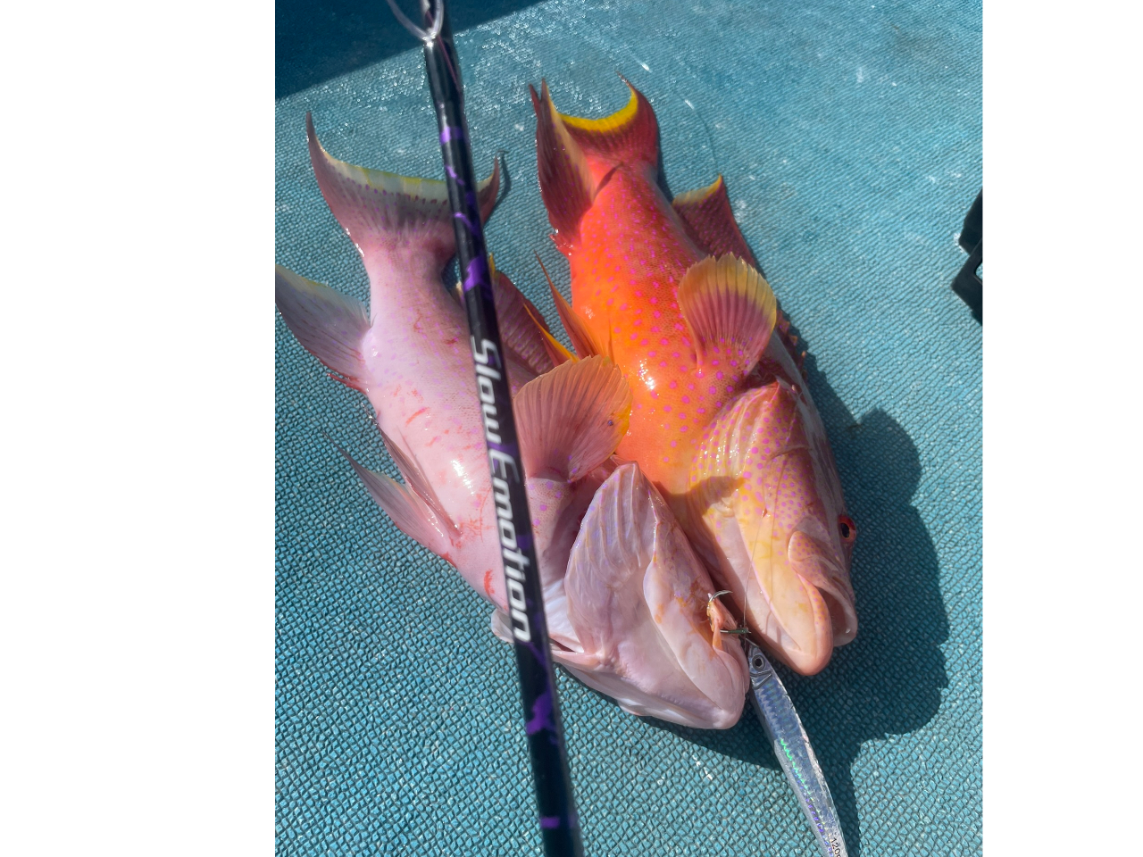 ナがジュ−ミ−バイ、ダブルヒット