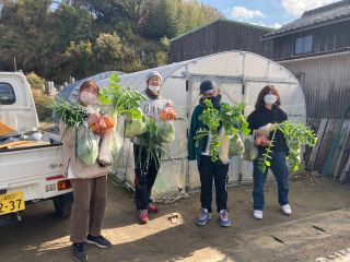 旬な野菜を収穫!