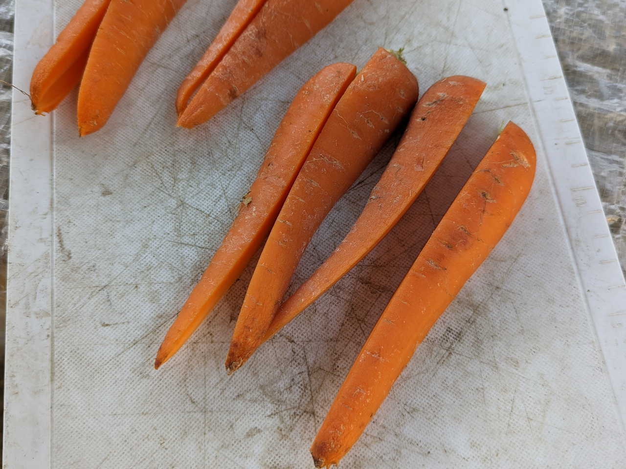 エサやりも可能です!