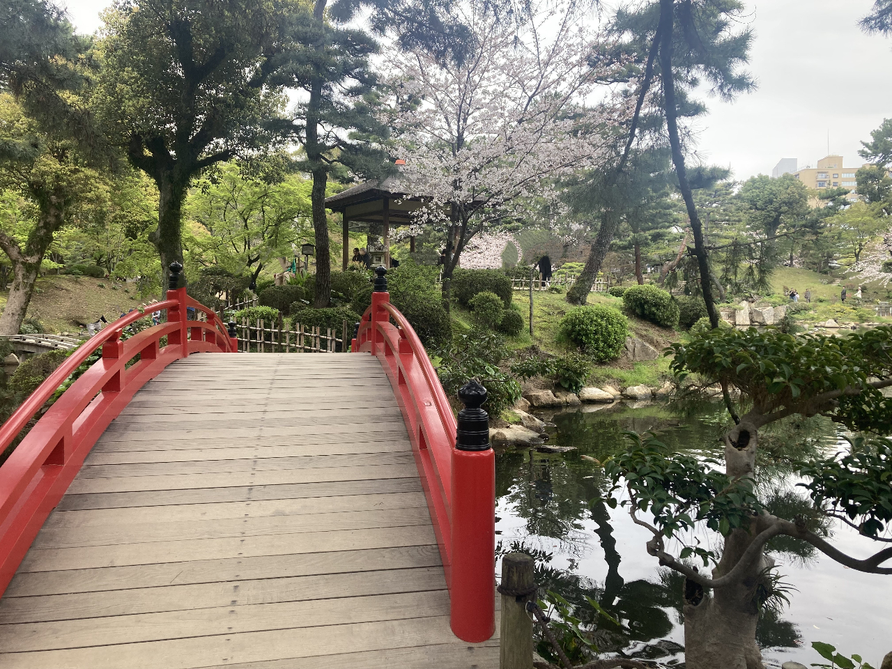 �k�i���ł͋G�߂̐A�����ӏ܂��邱�Ƃ��ł��܂���