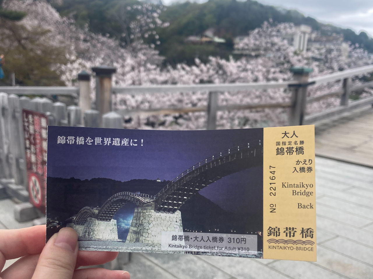 ёы𐢊EYɁIƂg݂sĂ܂B