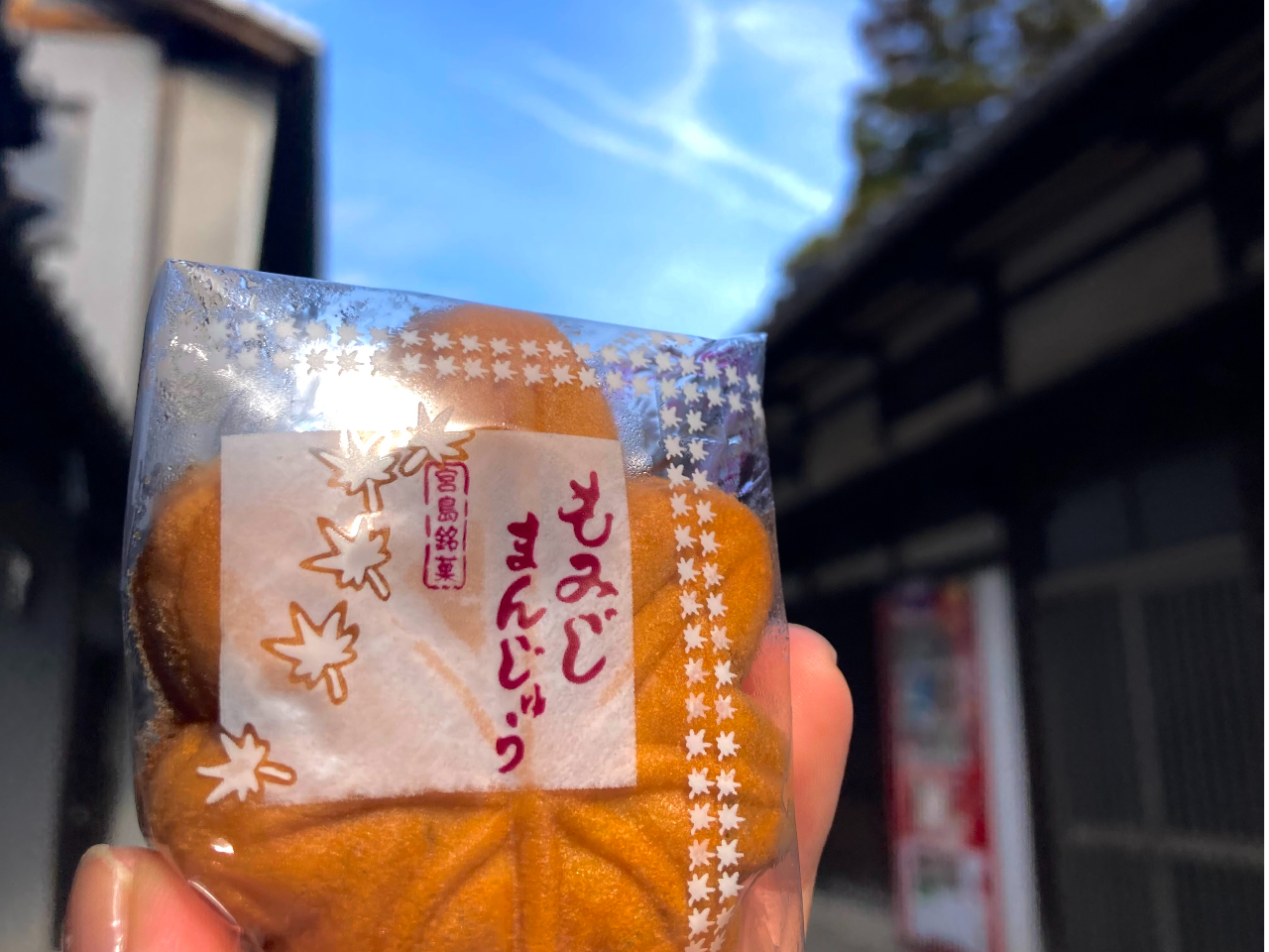 oĂ݂̂\Hׂ邱Ƃł܂