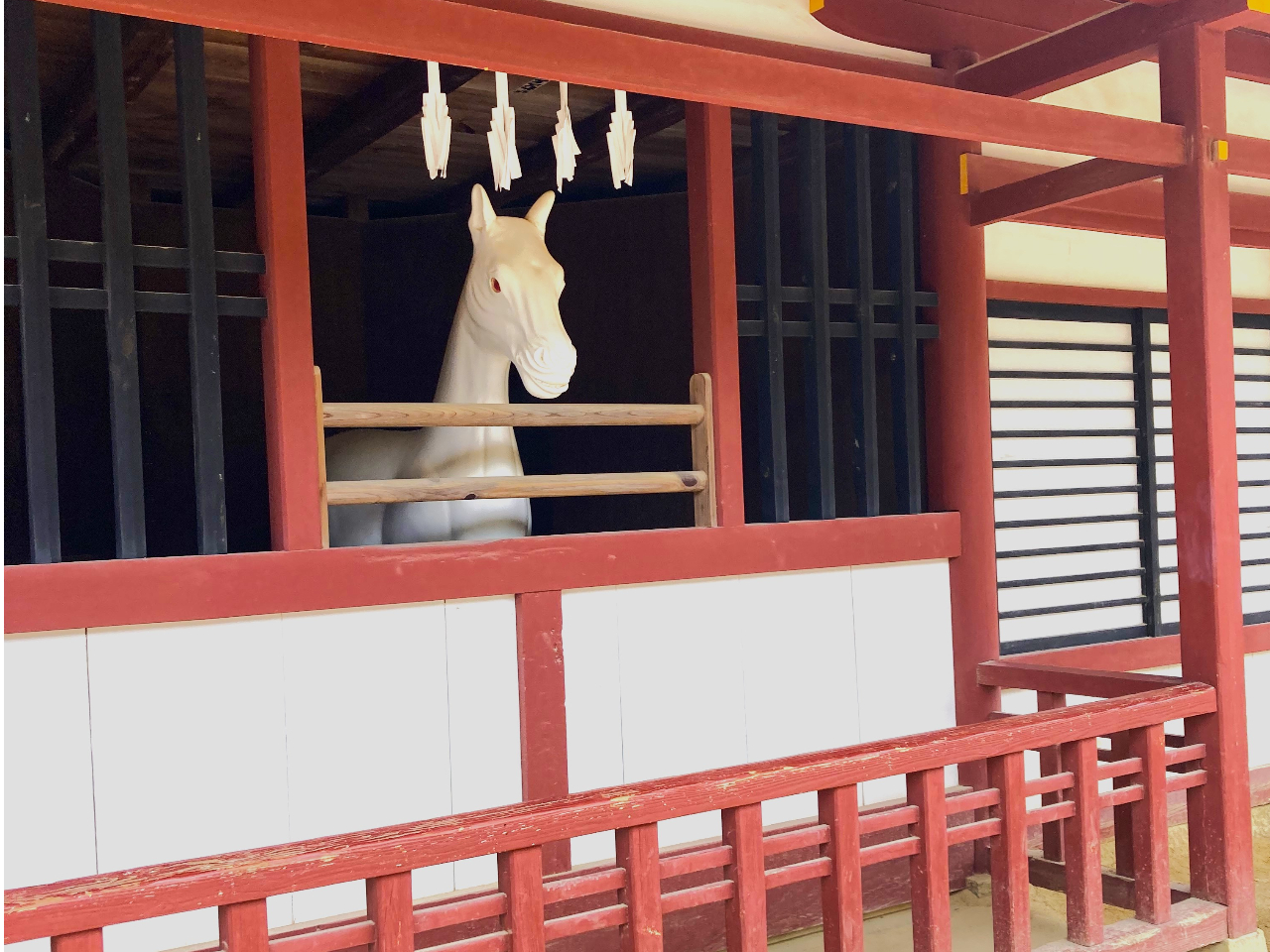 ͎̂ۂɕ[ꂽunvWĂłB