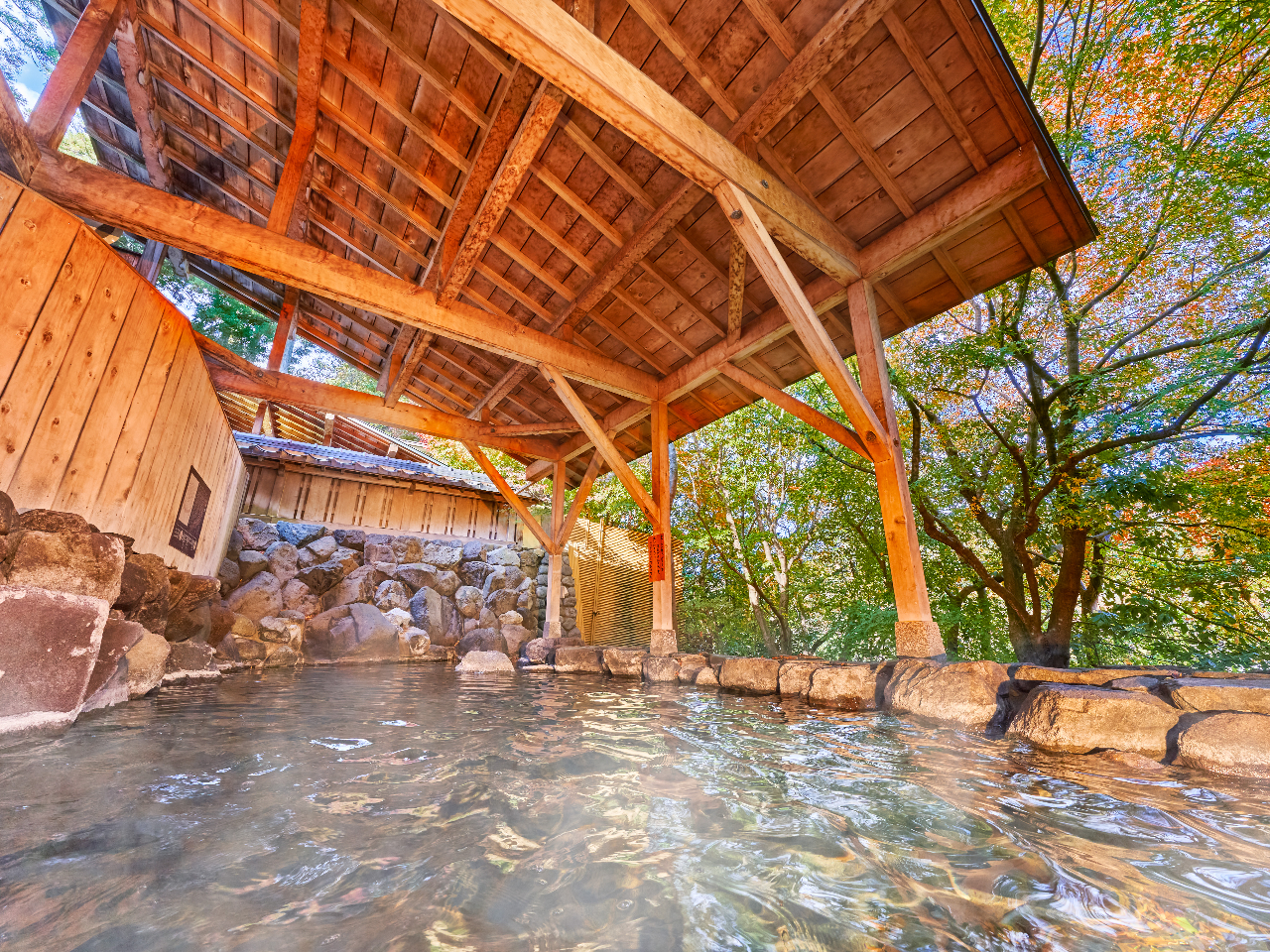 【加賀・山中温泉×日帰り入浴×夕食バイキング】芭蕉が愛した山中の名湯と、Prem...