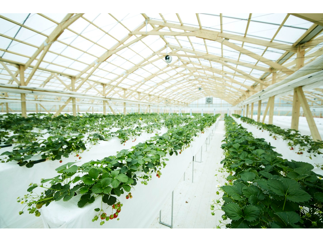 Rs[^ɂ䂳ꂽnEXō̕cAcA͔|sĂ܂BЃnEX茩wĂI