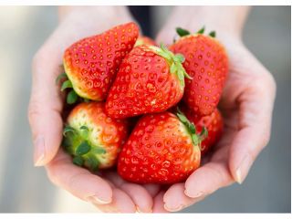 お1人様1パックお持ち帰り!