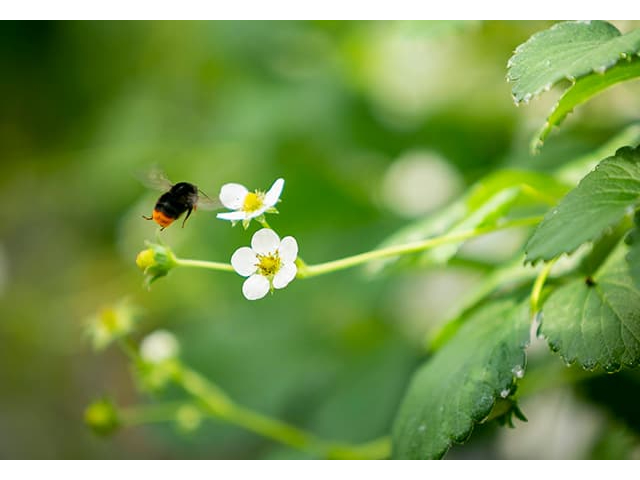 u肭䕁vY̗ҁu}nio`v