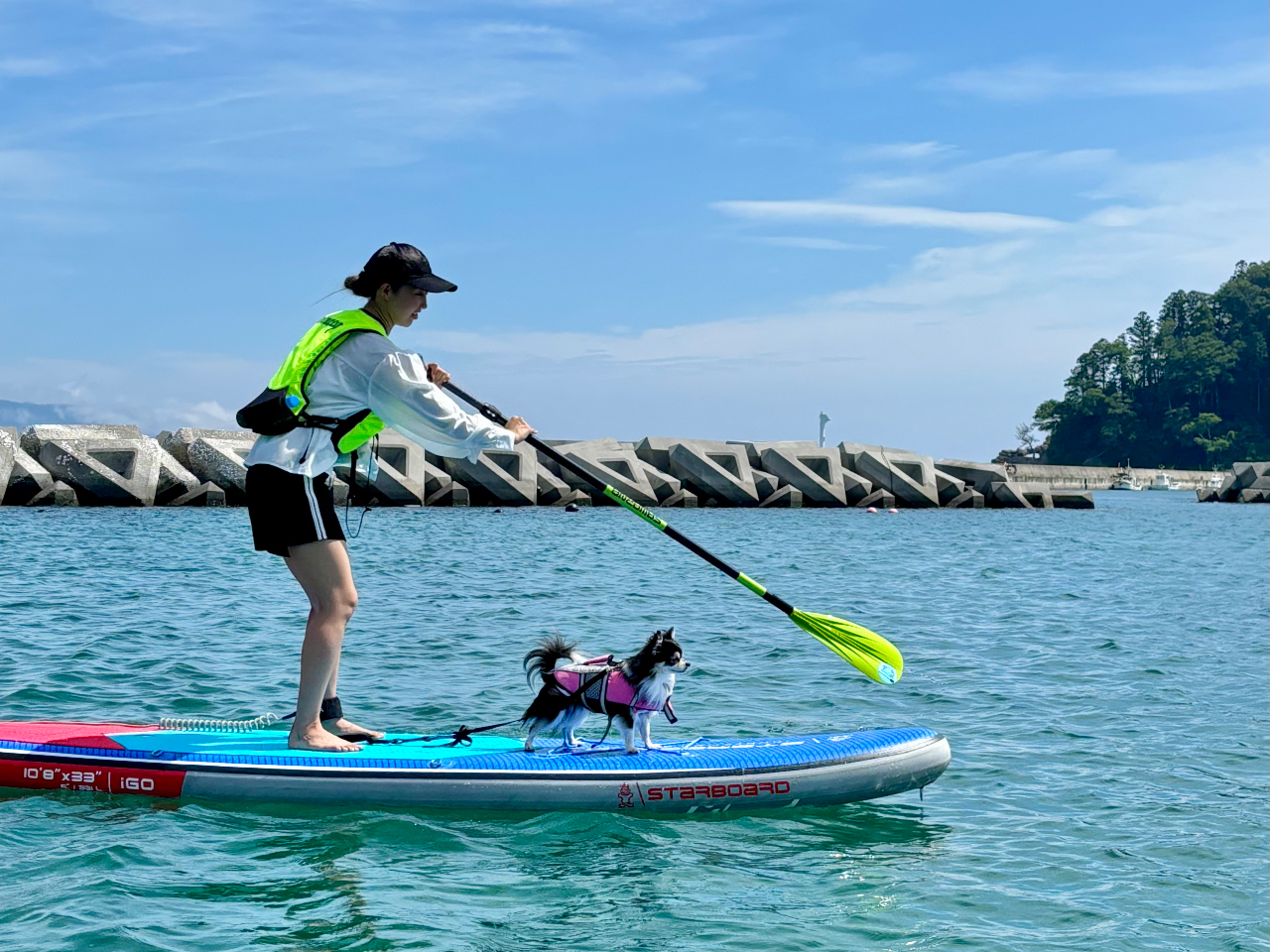 愛犬と一緒にSUPができるよ