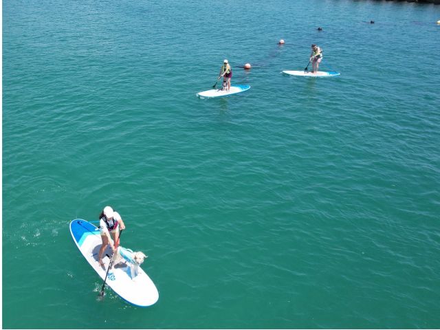 岩手の海、南国みたい