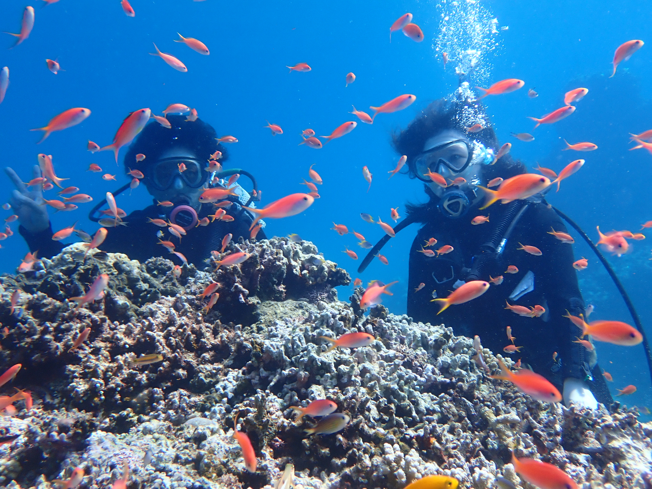 �̌��_�C�r���O�E�L���M���݂����ȌQ��