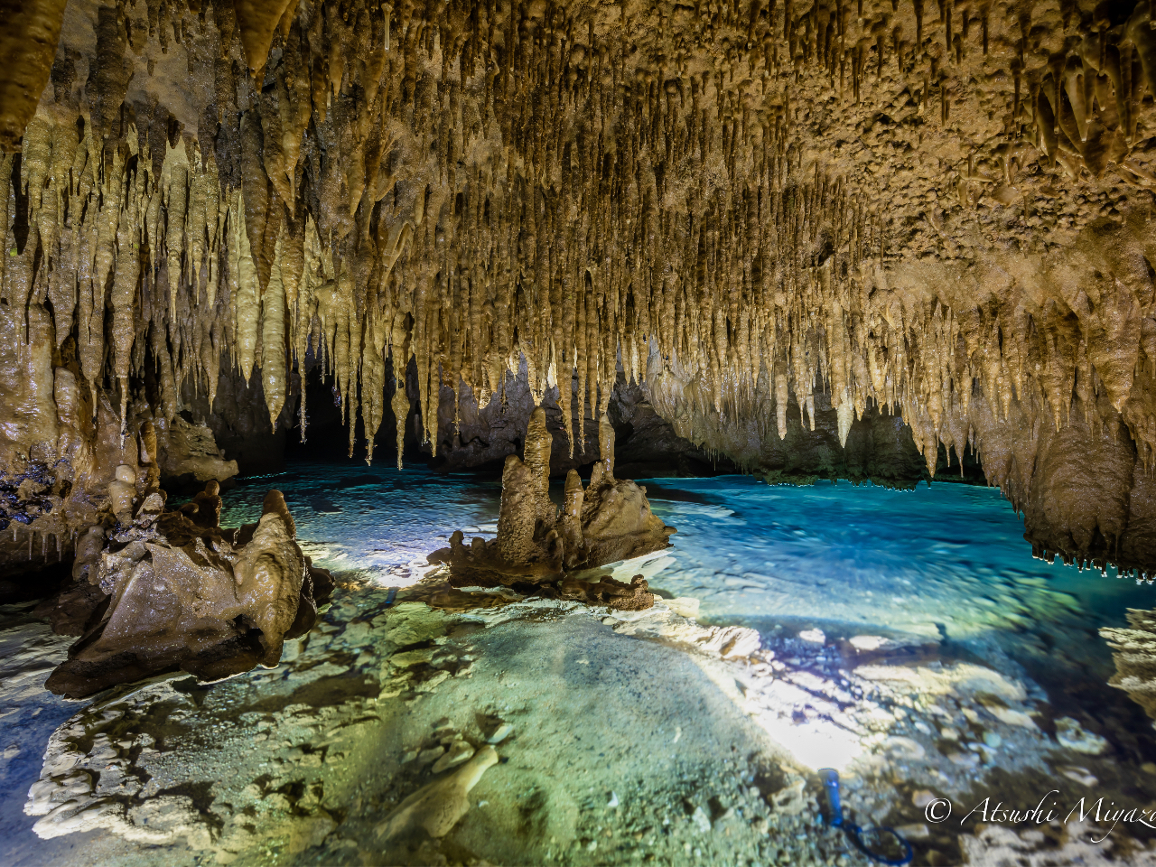 洞窟の聖地として洞窟ファンの中で最も有名な沖永良部島。
全国の鍾乳洞を巡ったコアなファンもこんな洞窟見た事ないと太鼓判を押す洞窟です!