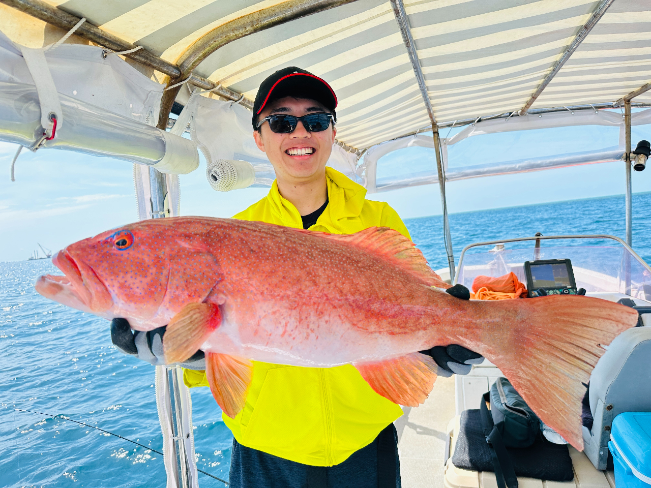 ���ꂪ�y�A�J�W���~�[�o�C�z���σT�C�Y�Q?�Rkg�傫�����̂͂Tkg�𒴂��܂��B �啨��ނ�グ�鎞�̋����́A���[�Ȃ����̂�����܂��I