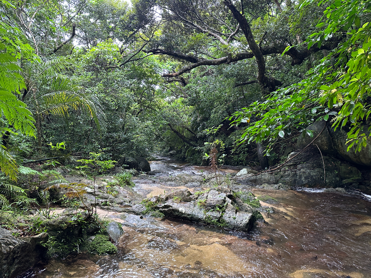 �s�X�n����Ԃ�25���B�약�n�悩���10���قǂɂ���B�r��̑�B�Ί_���̐������Γo�x���痬��鐴���̒��ł̂�т�e�i�K�G�r���y���݂܂��傤�I