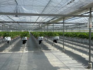 広々通路を取っています。ベビーカーも楽に入れます。