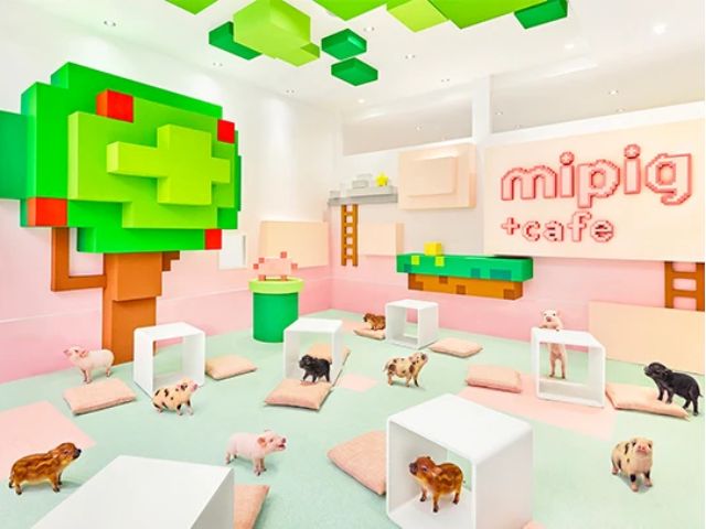 mipig cafe 池袋サンシャインシティ店