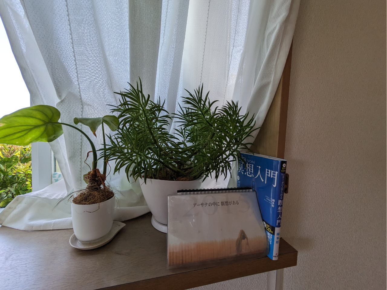 {[KґzAȖ{搶̃eB[`[g[jOƐłB