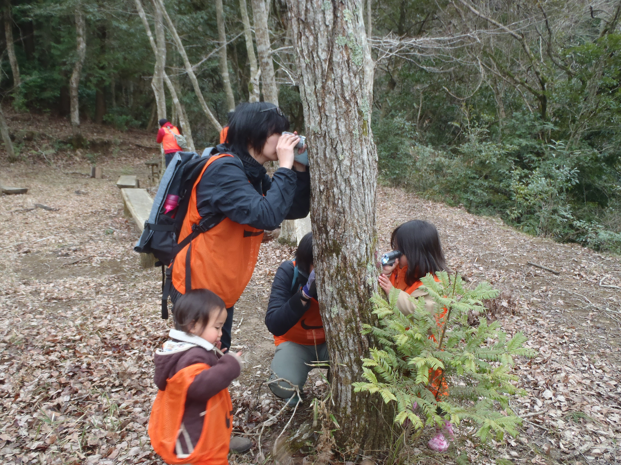 �~�N���̐��E���玩�R��̊�����t�B�[���h���[�N