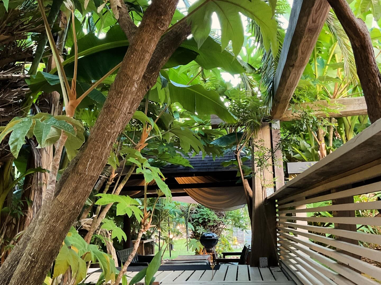 南国植物がいっぱい♪緑あふれる場所でゆったりとBBQをお楽しみいただけます。